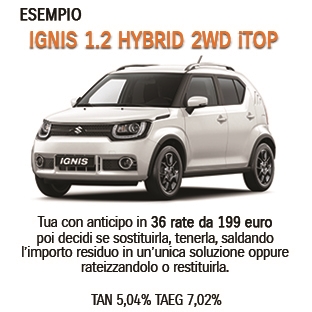 IGNIS SOLUTIONS IGNIS SOLUTIONS