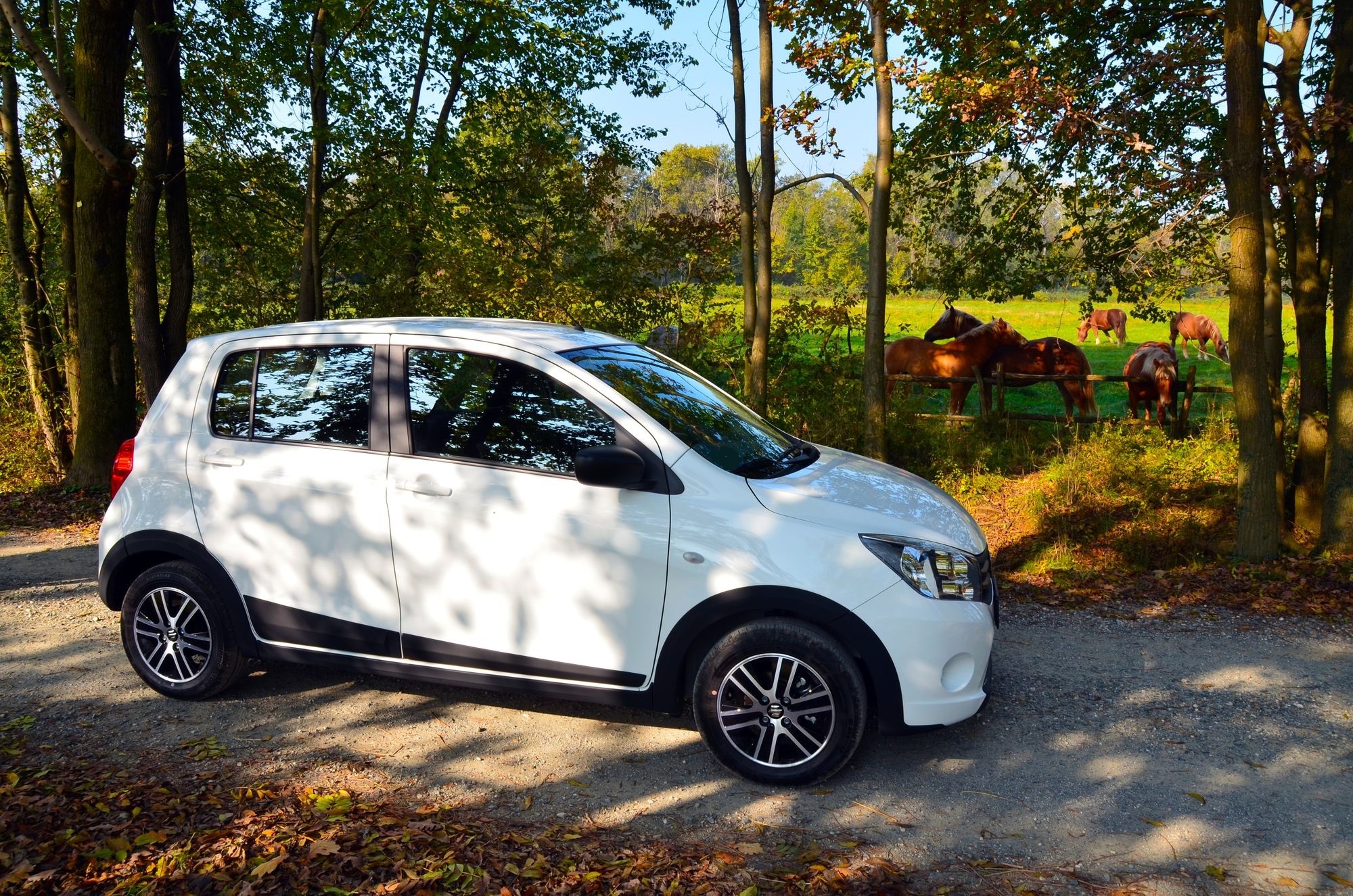 scarica-foto-celerio-country-1 scarica-foto-celerio-country-1